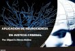 Aplicacion de la neurociencia en justicia criminal