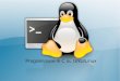 GNU Linux Programming introduction