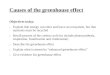 Causes Of The Greenhouse Effect (IB Standard)