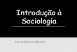 Introduçao a sociologia