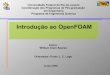 Curso Introdutório OpenFOAM  parte 1