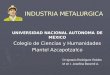 Ind Metalurgica