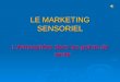 Marketing Sensoriel Gpe2