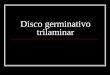 Disco Germinativo Tri Laminar