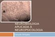 Neurobiologia aplicada   Neuropsicologia