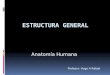 Estructura General Anatomia Humana