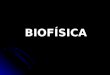 Biofisica Nº1