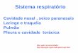 Sistema respiratorio patologia