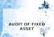 Audit of Fixed Asset