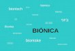 Bionica presentacion