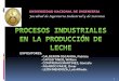 Proceso de producción de La Leche
