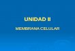 UNIDAD II Membrana Celular