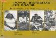 Povos Indígenas no Brasil - volume 8