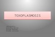 Toxoplasma gondii HCAM