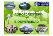 Agroforesteria y Biodiversidad_jpetit
