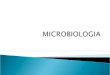 MICROBIOLOGIA 3