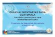 Guatemala - Presentacion Guias Alimentarias[1]