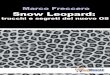 Snow Leopard- Trucchi e Segreti Del Nuovo OS