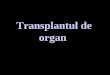 Transplant Curs 14