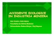 12_Accidente ecologice in industria miniera