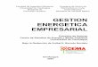 Libro Gestión Energética Empresarial