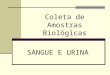 Coleta de Amostras Biológicas