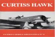 Fuerza Aerea Argentina 5 - Curtiss Hawk