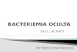BACTEREMIA OCULTA