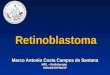 Aula Retinoblastoma 2011