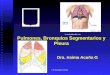 4.) Pulmones, Segmentación Broncopulmonar, Pleura - Prof. Iraima Acuña