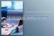 Antibioticos antitumorales