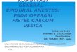 epidural anestesi
