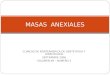 Masas Anexiales - Clinicas Septiembre 2006 Nro.3