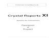 90 Treinamento Crystal Reports XI