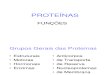 aula 04 - Proteínas - funções