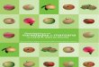 Descripcion de las variedades de manzana de sidra en Asturias