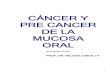 Cancer y Pre Cancer de La Mucosa Oral