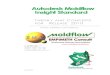 3695_Autodesk Moldflow Insight Standard 1-PL-DeMO