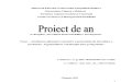 Moldovanu Proiect La Investitii Word 2011