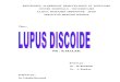 Lupus Discoide