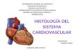 Histologia Cardiovascular