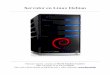 Linux Debian Server by for At