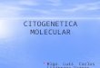 Citogenetica Molecular