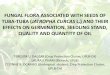 Fungal flora associated with seeds of tuba-tuba (Jatropha curcas l.) and their effects on germination, seedling stand, quality and quantity of oil