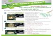 Trituradora y Esterilizadora para Desechos Hospitalarios-ISSAC-575- Catálogo- Rev 1- Abr-11