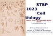 Cell Biology Lecture 1 & 2 Sem I 2011-2012 Introduction to Cell Biology, Cell as the Basic Unit of Life SPIN
