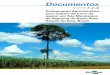 Zoneamento Agroclimático para Cultivo da Cana-de-açúcar em Três Municípios da Regional do Baixo Acre, Estado do Acre, Brasil