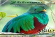 El Esmeralda Vol 122012 Lec