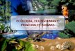 2-Ecologia Ecosistema y Principales Biomas 2012