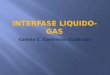 Interfase Liquido Gas